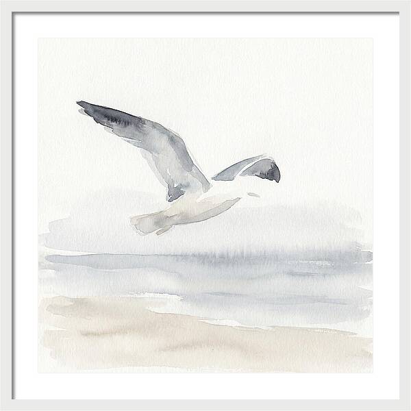 Soaring Seagull Over Water