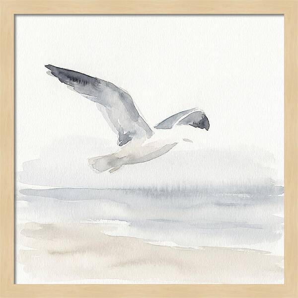 Soaring Seagull Over Water