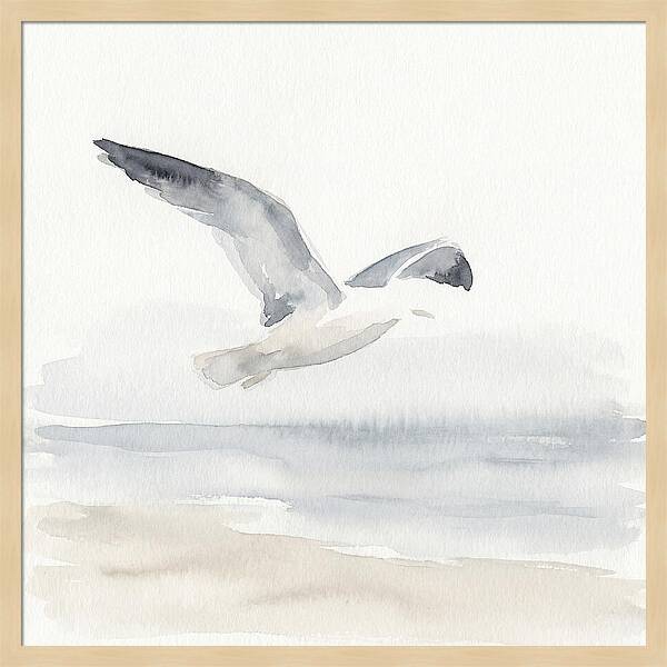 Soaring Seagull Over Water