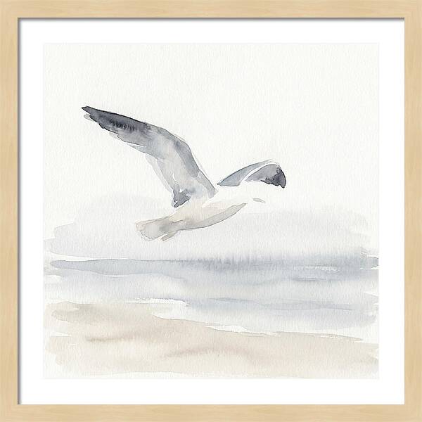 Soaring Seagull Over Water