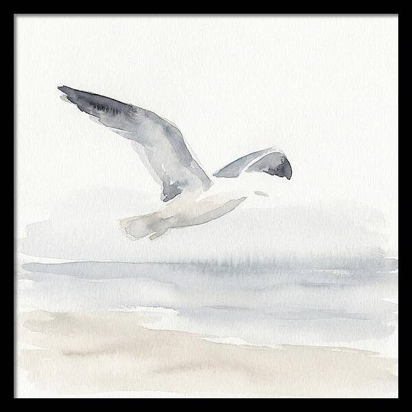 Soaring Seagull Over Water