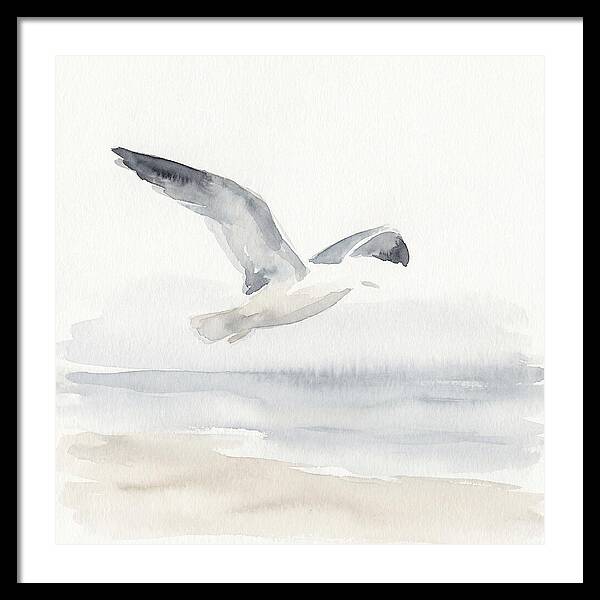Soaring Seagull Over Water