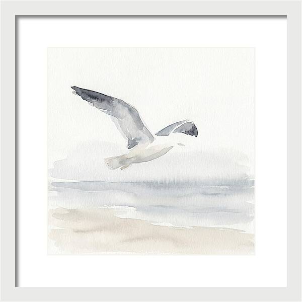 Soaring Seagull Over Water