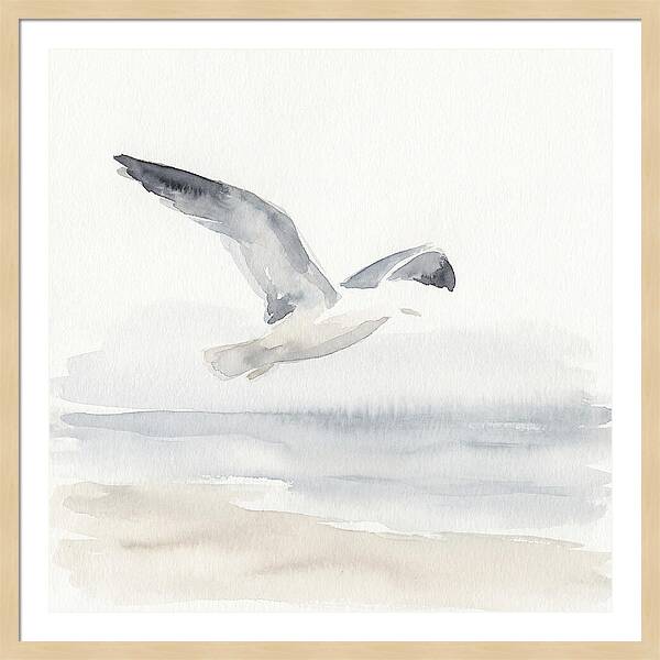 Soaring Seagull Over Water