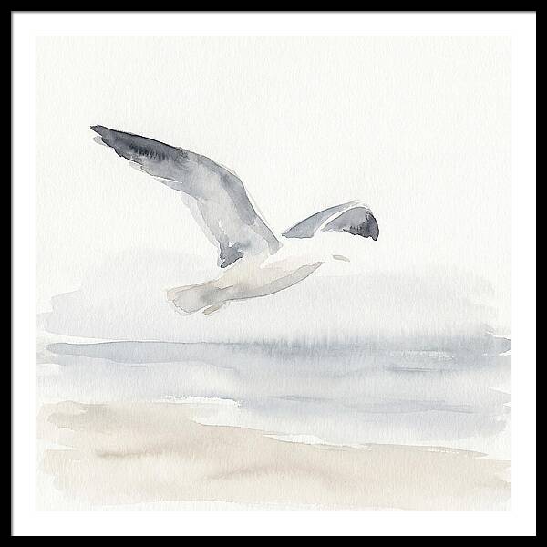 Soaring Seagull Over Water