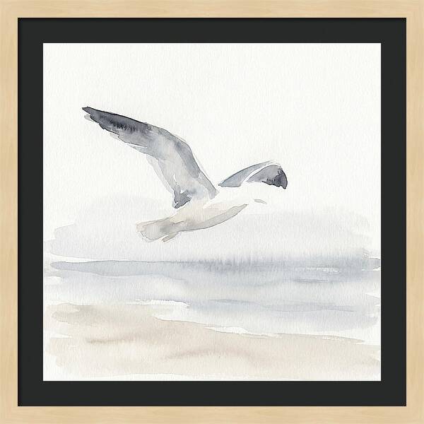 Soaring Seagull Over Water