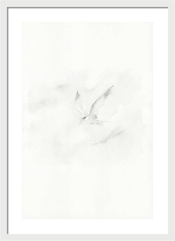 Soaring Tern In Minimalist Style