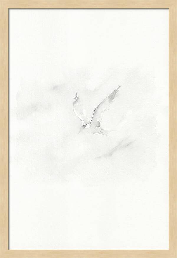 Soaring Tern In Minimalist Style