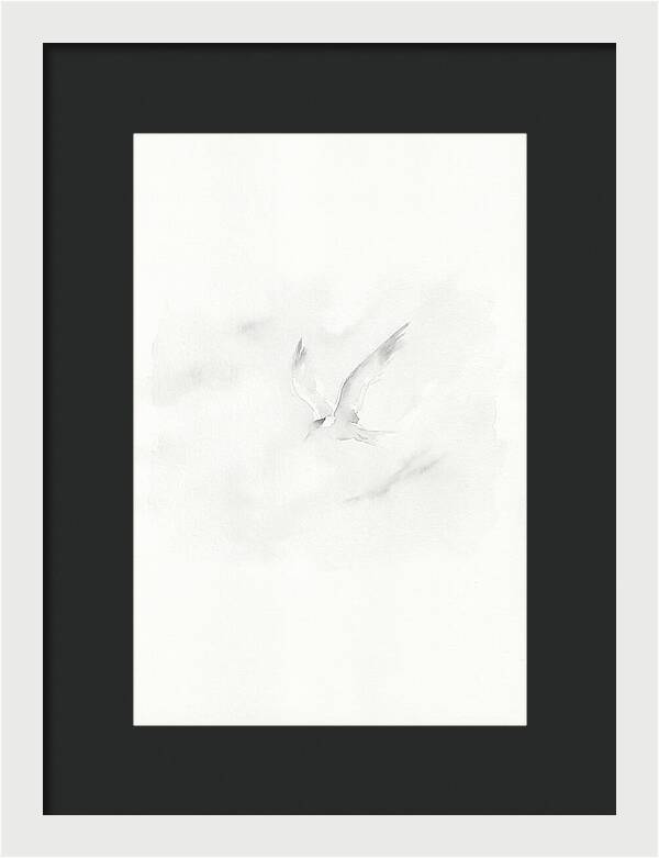 Soaring Tern In Minimalist Style