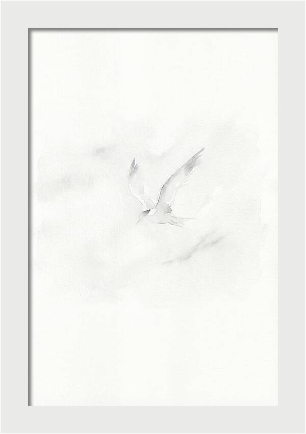 Soaring Tern In Minimalist Style