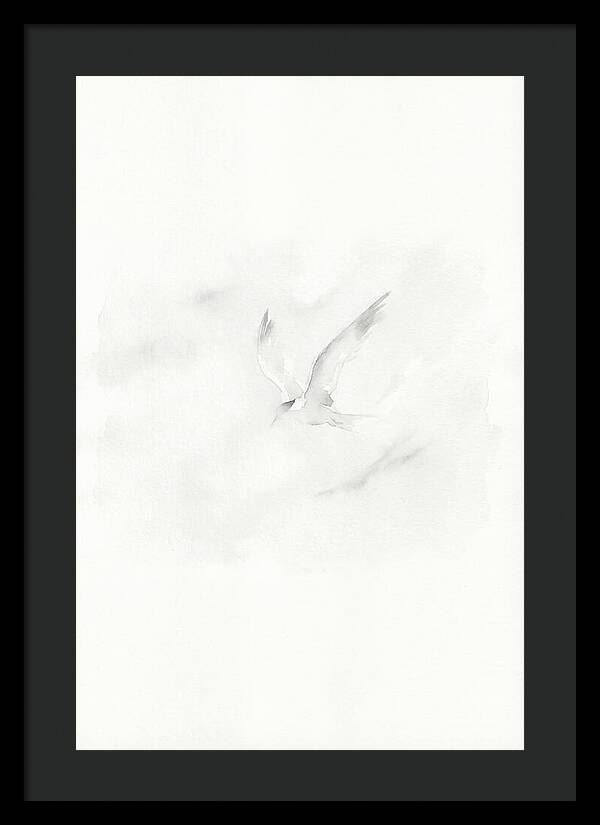Soaring Tern In Minimalist Style