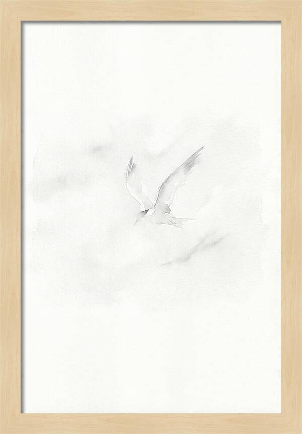 Soaring Tern In Minimalist Style