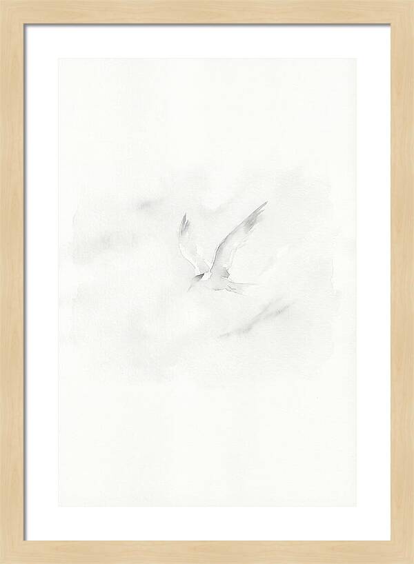 Soaring Tern In Minimalist Style
