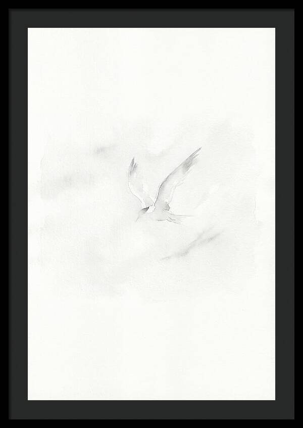 Soaring Tern In Minimalist Style