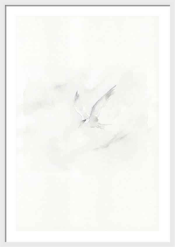 Soaring Tern In Minimalist Style