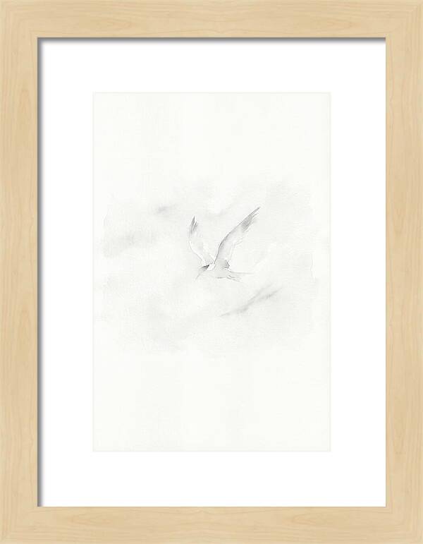 Soaring Tern In Minimalist Style