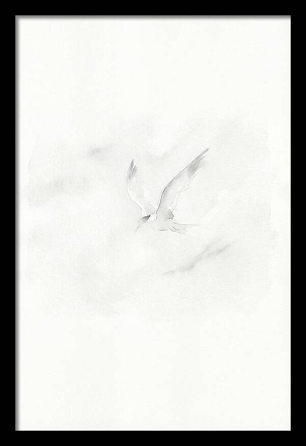 Soaring Tern In Minimalist Style