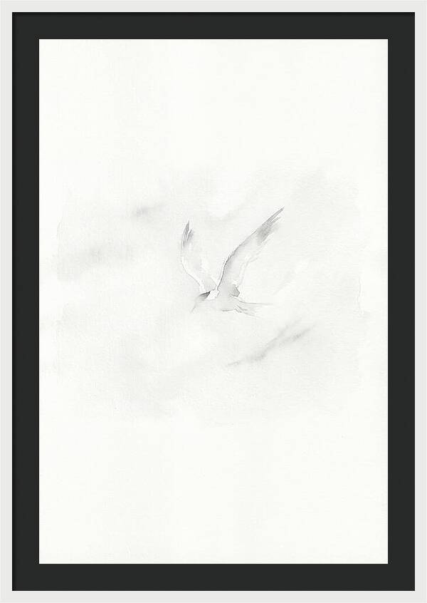 Soaring Tern In Minimalist Style