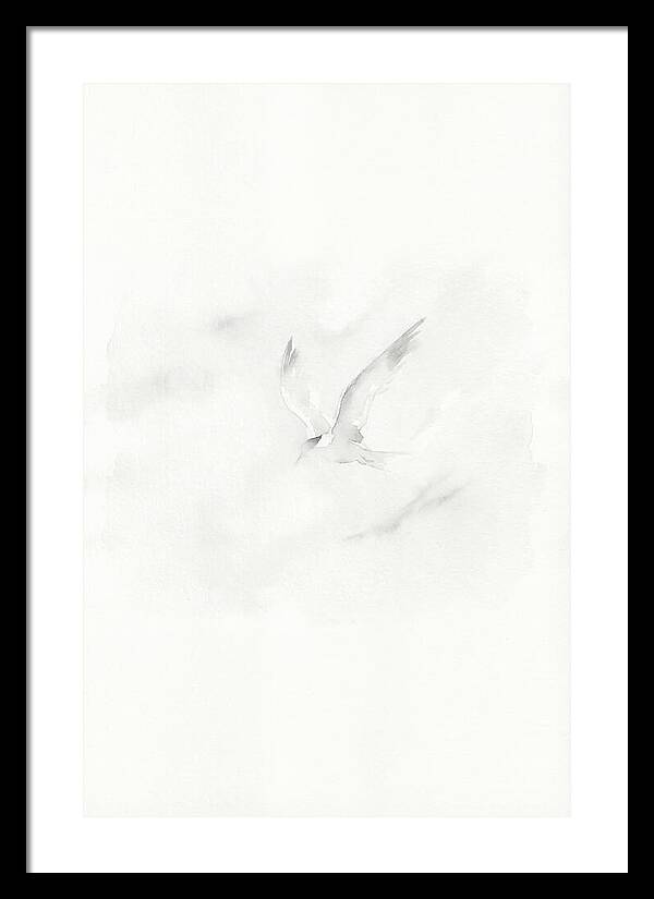 Soaring Tern In Minimalist Style