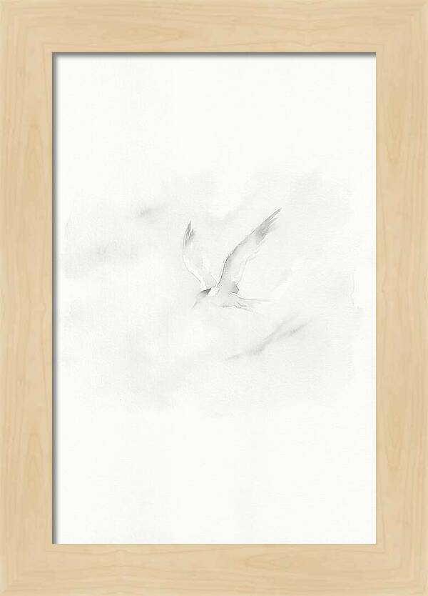 Soaring Tern In Minimalist Style