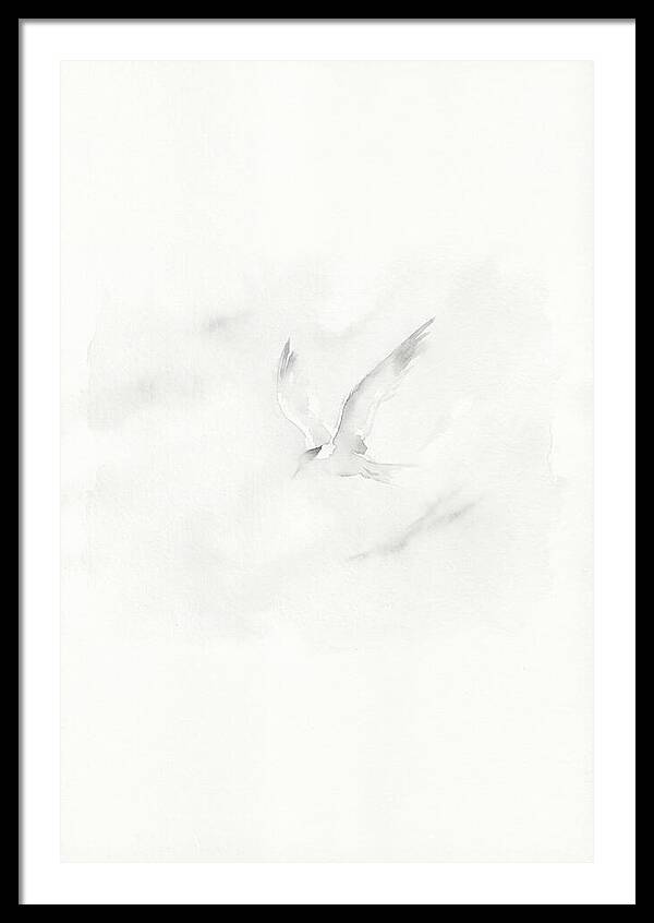 Soaring Tern In Minimalist Style