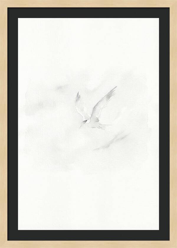 Soaring Tern In Minimalist Style