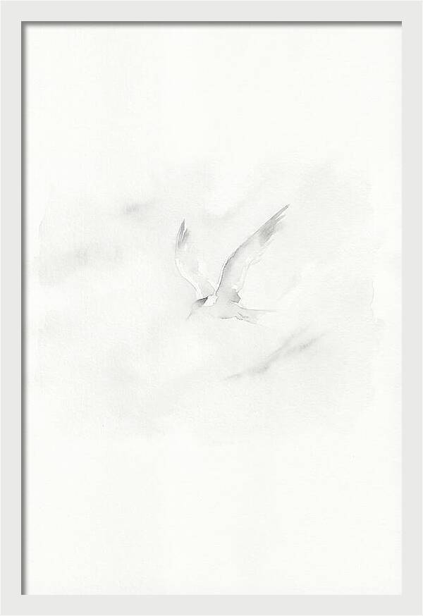Soaring Tern In Minimalist Style
