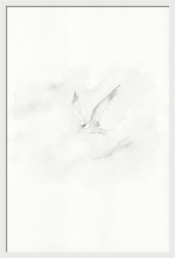Soaring Tern In Minimalist Style