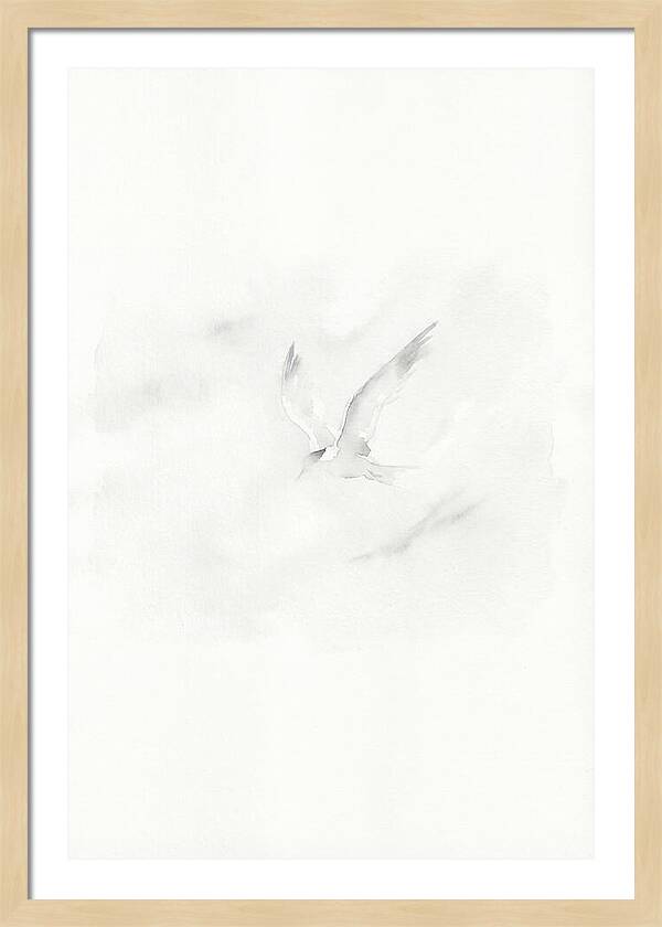 Soaring Tern In Minimalist Style