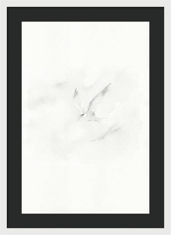Soaring Tern In Minimalist Style