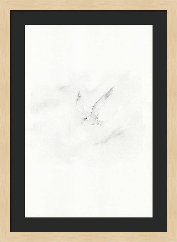 Soaring Tern In Minimalist Style