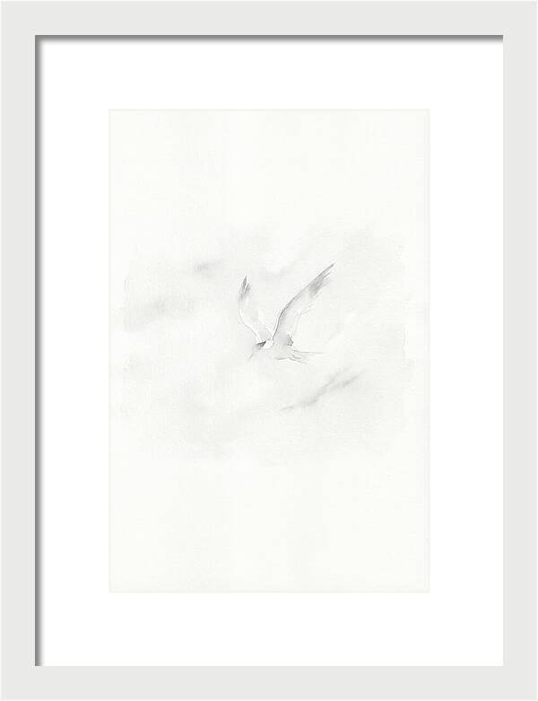 Soaring Tern In Minimalist Style