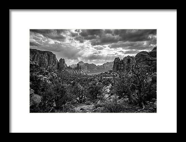 Socotra Trees Landscape Vista