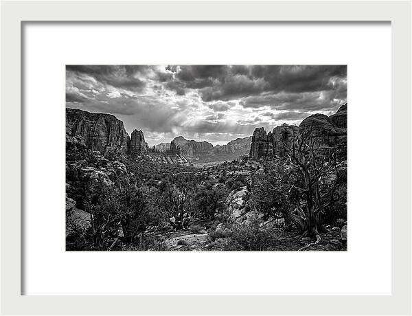 Socotra Trees Landscape Vista