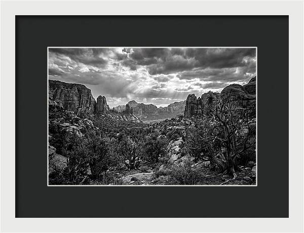 Socotra Trees Landscape Vista