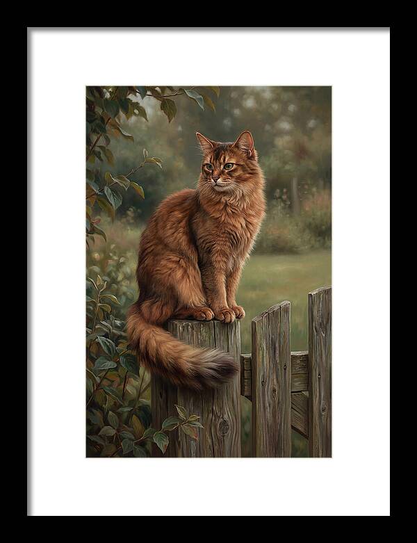 Somali Cat In A Garden