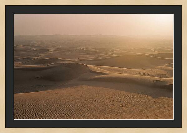 Sossusvlei Dune Serenity