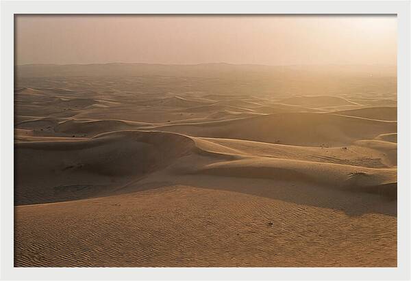 Sossusvlei Dune Serenity