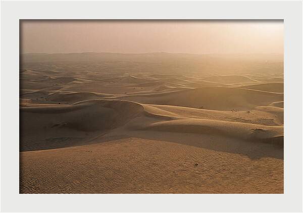 Sossusvlei Dune Serenity