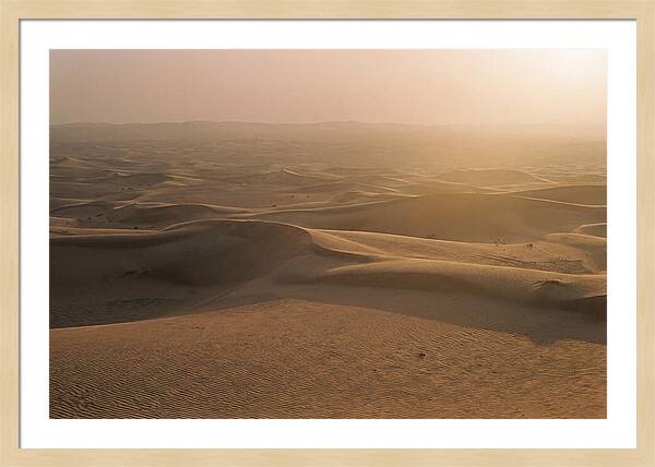 Sossusvlei Dune Serenity