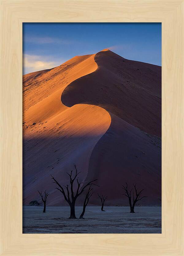 Sossusvlei Dunes At Dawn