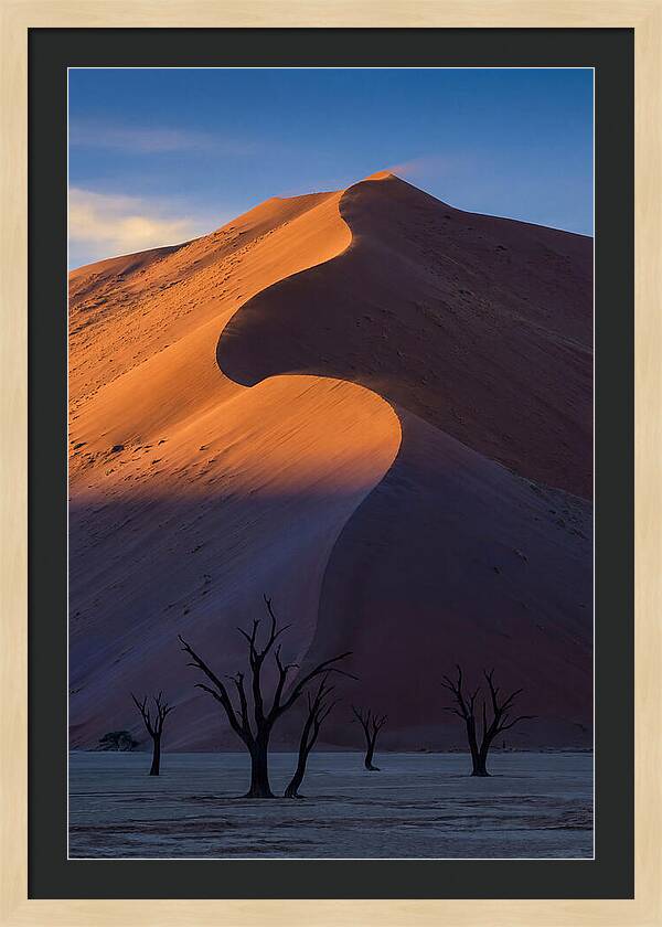 Sossusvlei Dunes At Dawn