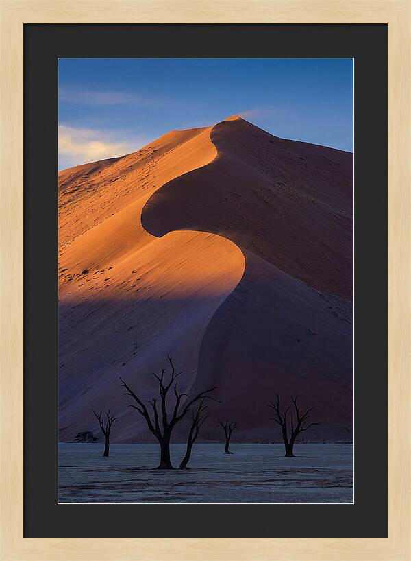 Sossusvlei Dunes At Dawn