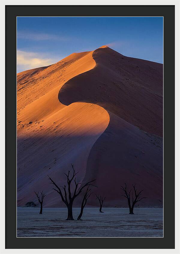 Sossusvlei Dunes At Dawn