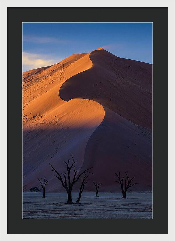 Sossusvlei Dunes At Dawn