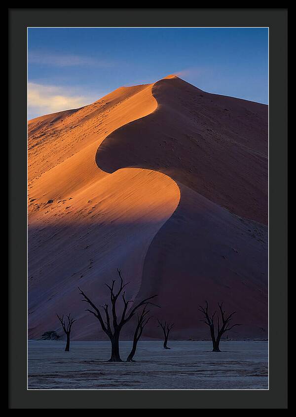 Sossusvlei Dunes At Dawn