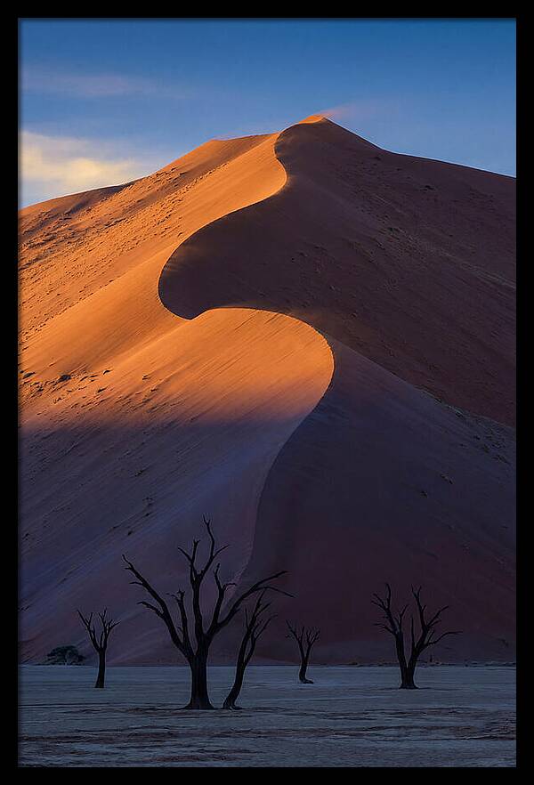 Sossusvlei Dunes At Dawn