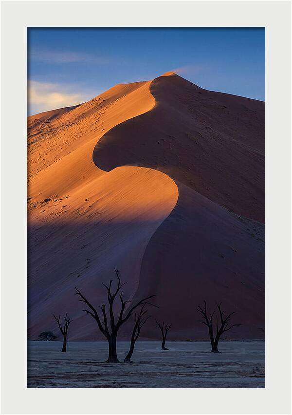 Sossusvlei Dunes At Dawn