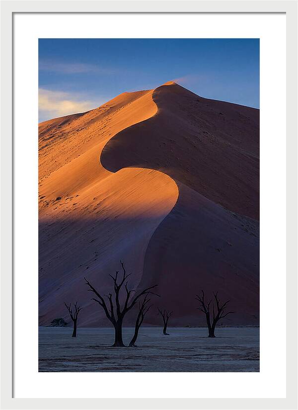 Sossusvlei Dunes At Dawn