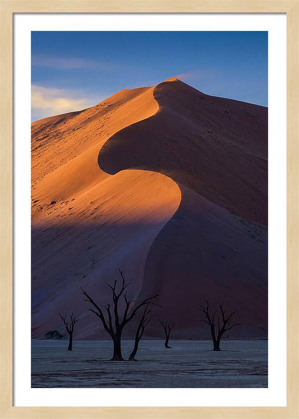 Sossusvlei Dunes At Dawn